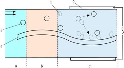 Control Mechanism of Particle Flow in the Weak Liquid Metal Flow Field on Non-Uniform Curvature Surface Based on Lippmann Model